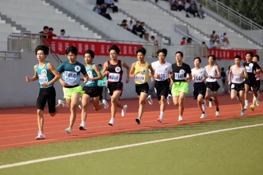 看个比赛 篮球数据面板入门指南：读懂真实命中率、回合占有率与净效率 配图